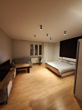 DTŚ Apartments